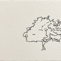 Uden titel 10x15 pigmentpen på papir CH.jpg