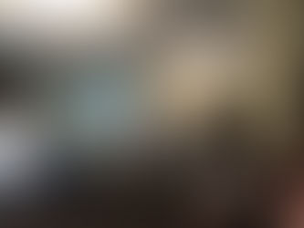 Керівництво організації взяло участь в першому очному семінарі навчального курсу УГСПЛ по правам люд