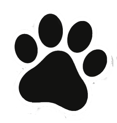 image-20260422-081555_edited.png
