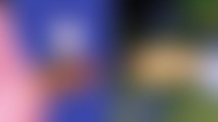 Референс: що це таке і як правильно використовувати