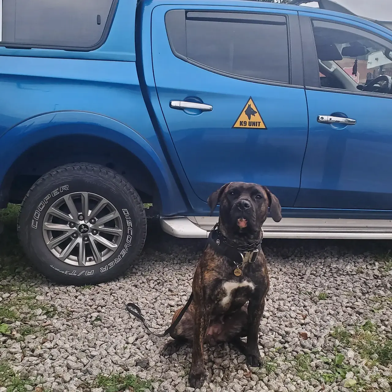 K9 Unit Cheshire 