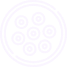 morula 1.png