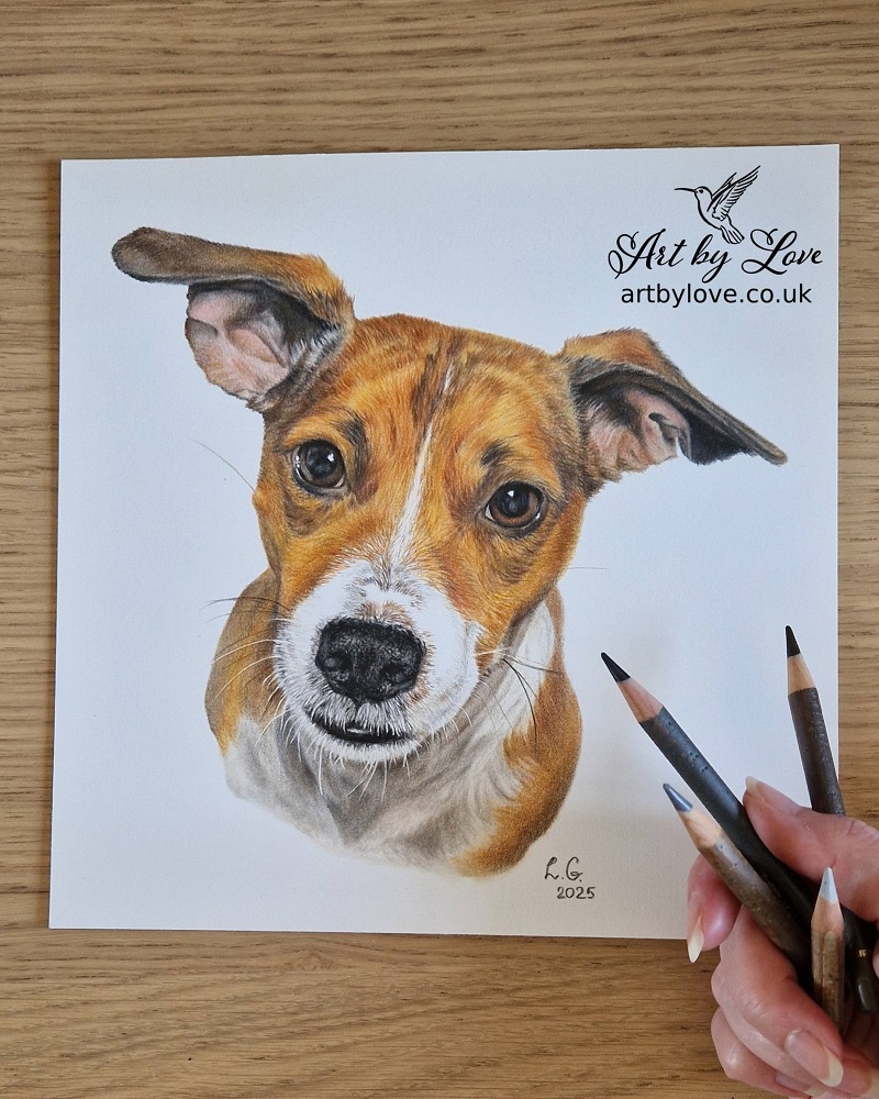 Artistic portrait of a rescued pet dog