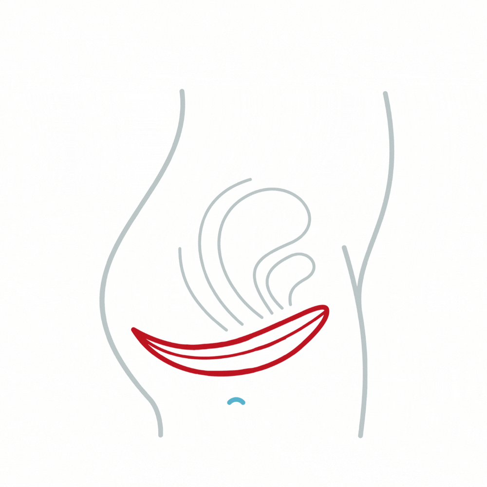 2.gif