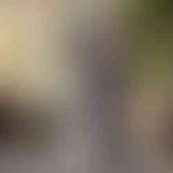 Carolina et Marco dans une ruelle pittoresque de Venise après leur mariage symbolique dans un palais privé, reflétant l’intimité et l’élégance de leur journée.