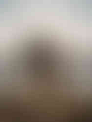 Étreinte joyeuse devant la lagune avec le Campanile en arrière-plan