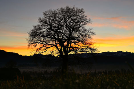 Sonnenaufgang