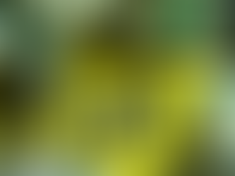 scam alert image money yellow signage