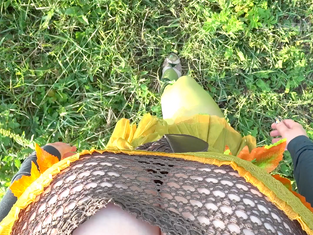 Green Spirit (relaxing version video)