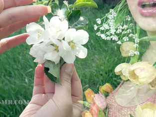 Flower Tenderness