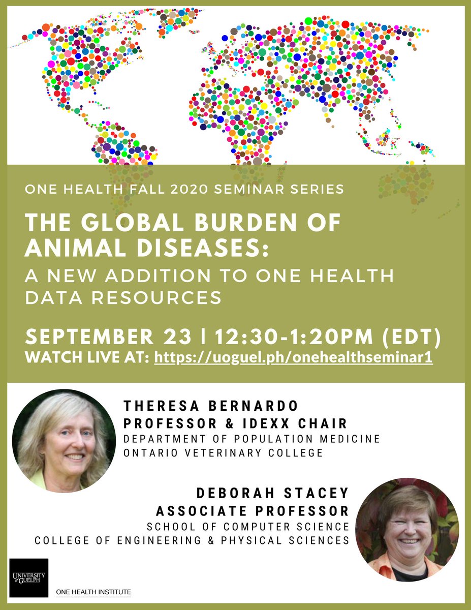 The Global Burden of Animal Diseases: A New Addition to One Health Data Resources
