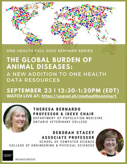The Global Burden of Animal Diseases: A New Addition to One Health Data Resources