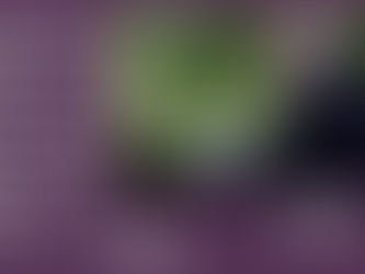 「玫瑰園廢話」