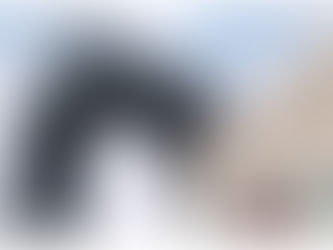 从愤怒、叫好,到“祖国的味道” 中国政治宣传似陷两难