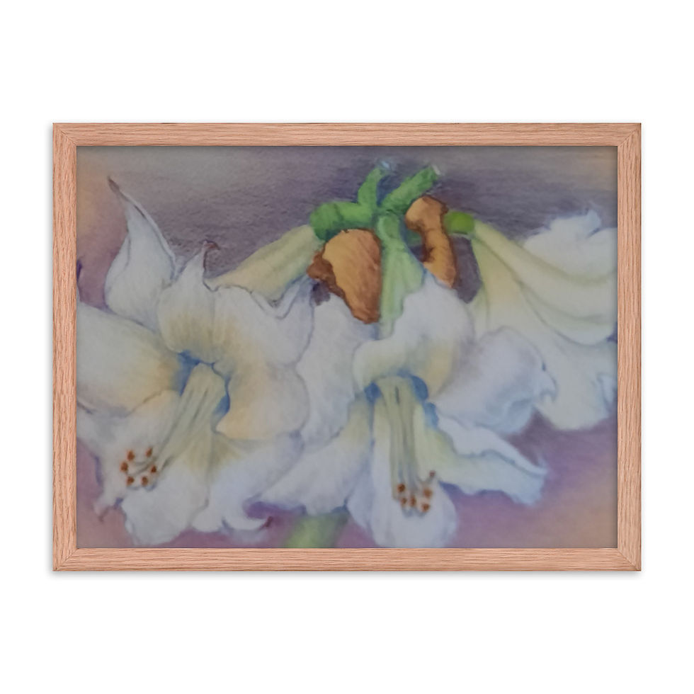 Thumbnail: Three Amaryllis