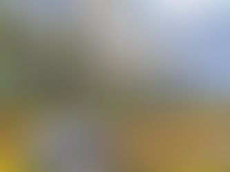 Terri Sanchez: En Plein Air and More.