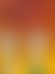 Women Speaking Up and Making Art: Finding Our Voices and Becoming Poetry.