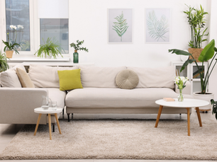 Feng Shui for Beginners: A Complete Guide to Positive Energy