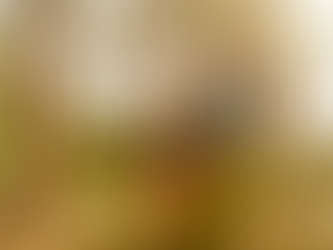 Summer Adventure Date Ideas