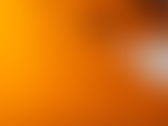 Halloween Party Decor on a Budget