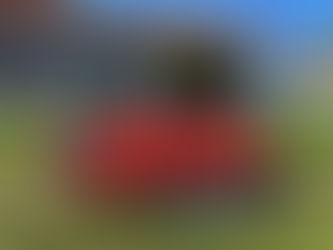 Neue Trikots für die E-Jugend der Spielgemeinschaft Finning-Hofstetten