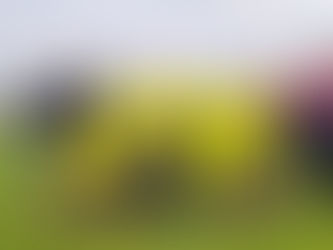 Neue Trikots für die C-Jugend der JSG Lech-Ammersee