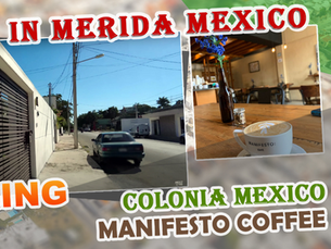 Walking Tour of Colonia Mexico to Manifesto Coffee