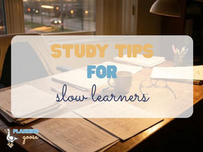 Study Tips for Slow Learners