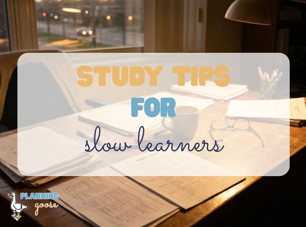 Study Tips for Slow Learners