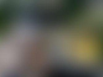 NEW LOAF ACADEMY PLANNED FOR FERMANAGH AND OMAGH