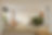 Madison residential interior designs