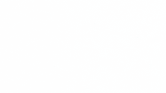 OVERLAY.png