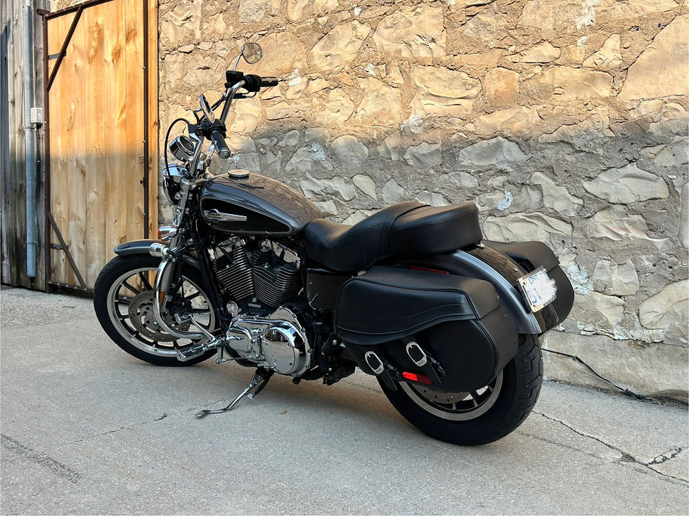 Thumbnail: 2008 Harley-Davidson® XL1200 Low Sportster - 105th Anniversary Edition