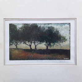 The Glade