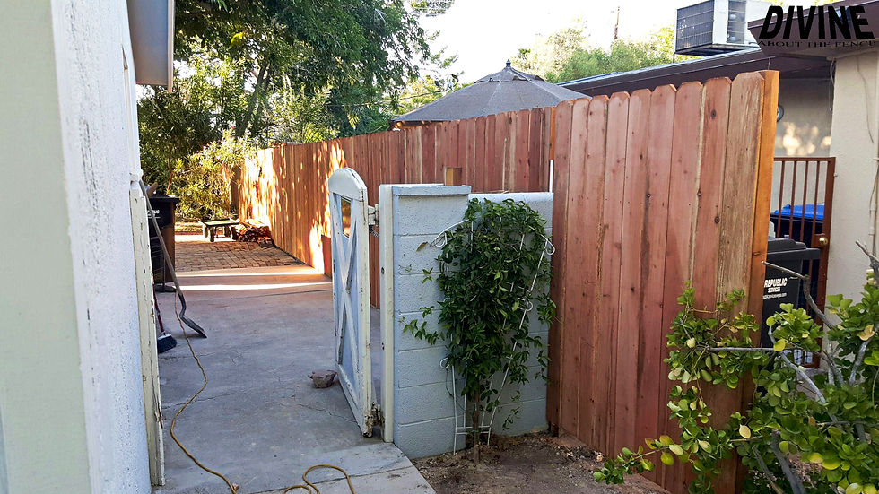 23W. Privacy Wood Fence