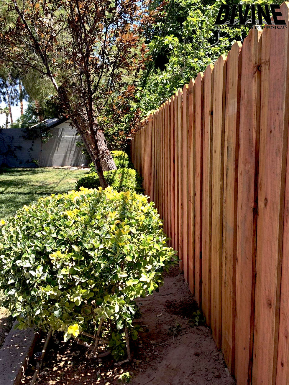 20W. Spaced Wood Fence