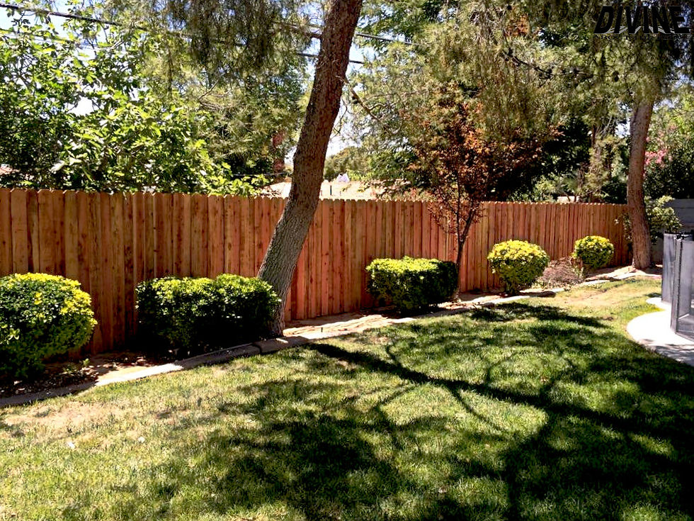 19W. Wood Fence