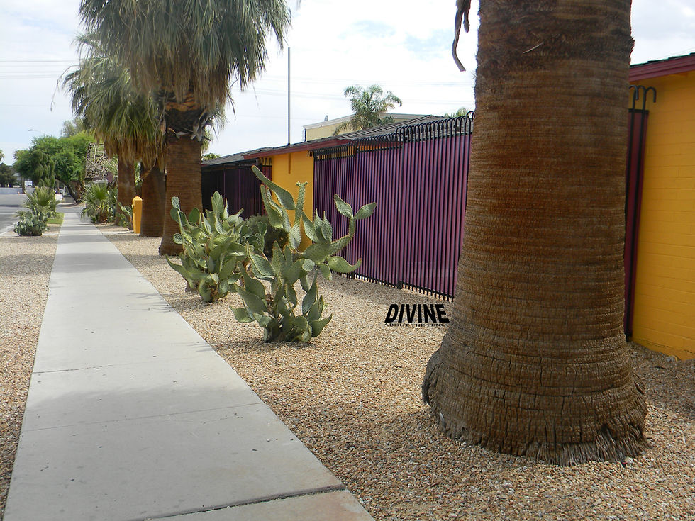 Las Vegas Iron