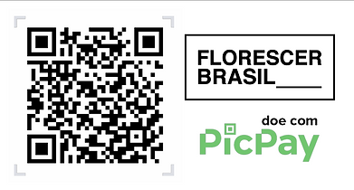 Captura_de_Tela_2020-05-21_Ã s_16.51.40.