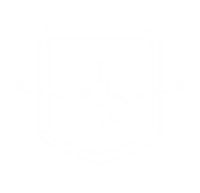 eorusecurity_icono-seguridad-aviación.png