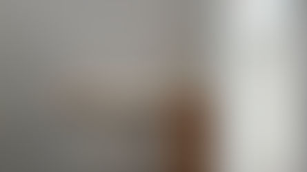 クロス工事完了（平屋BLACK）