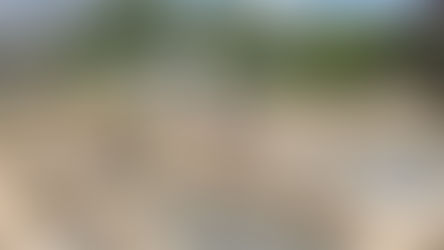 土台据え（吉原 離れ建て替え工事）