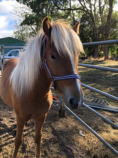 2026-03-05 09.47.14 lars.jpg