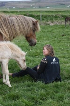 Disa in Iceland