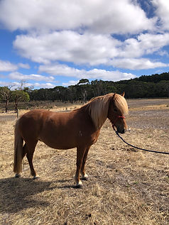 2026-03-04 10.57.02 drella.jpg