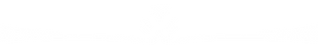 BORDE copia.png