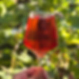 The RhuBerries taste like RhuBerries!
RhuBerry is created from a blend of locally-grown Michigan apples, blueberries, and rhubarb, combining three of our favorite flavors into one refreshing and semi-dry cider.
Ⓥ, GF