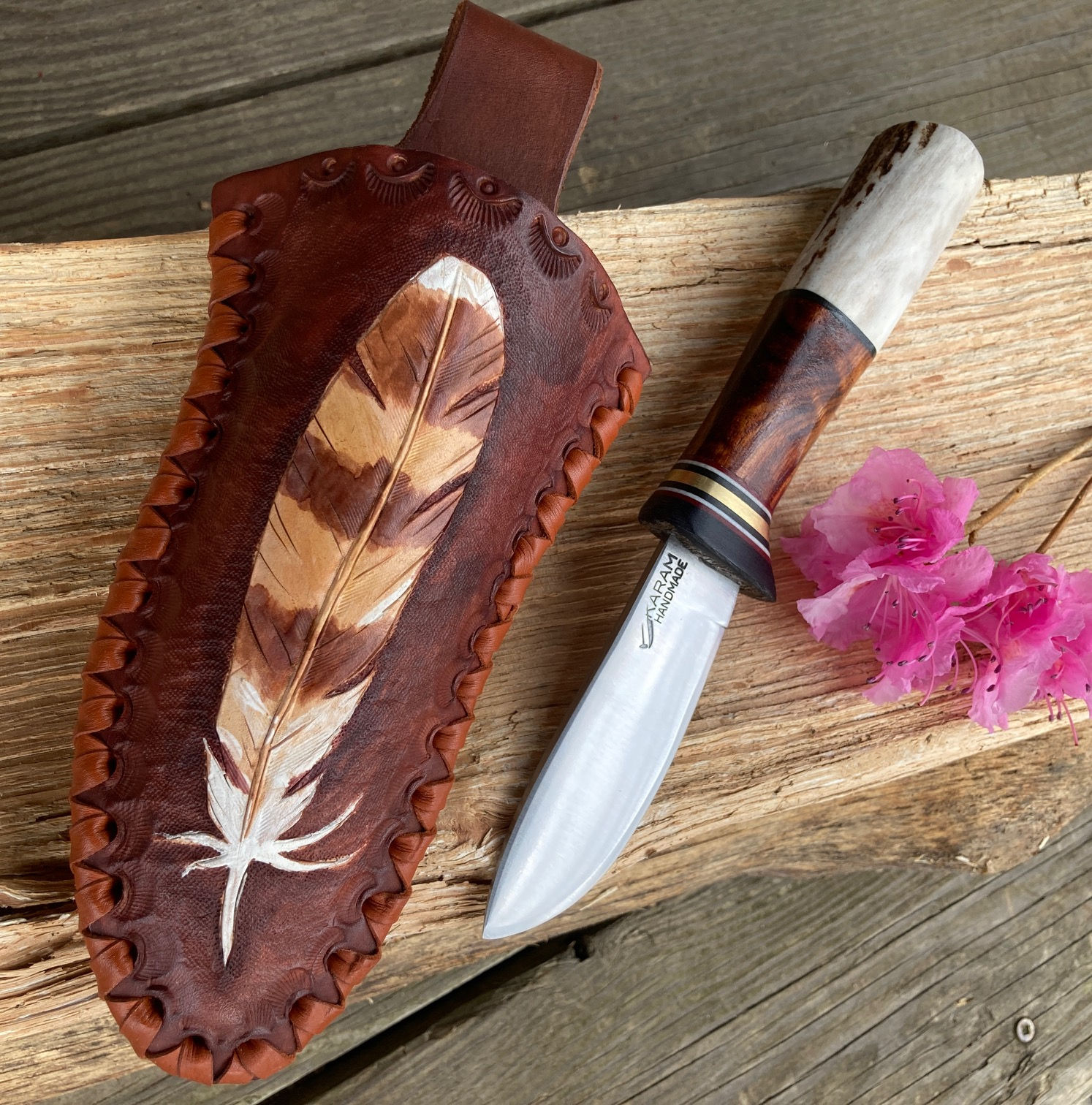 Knife 264  River Valley Companion - Cooper's Hawk