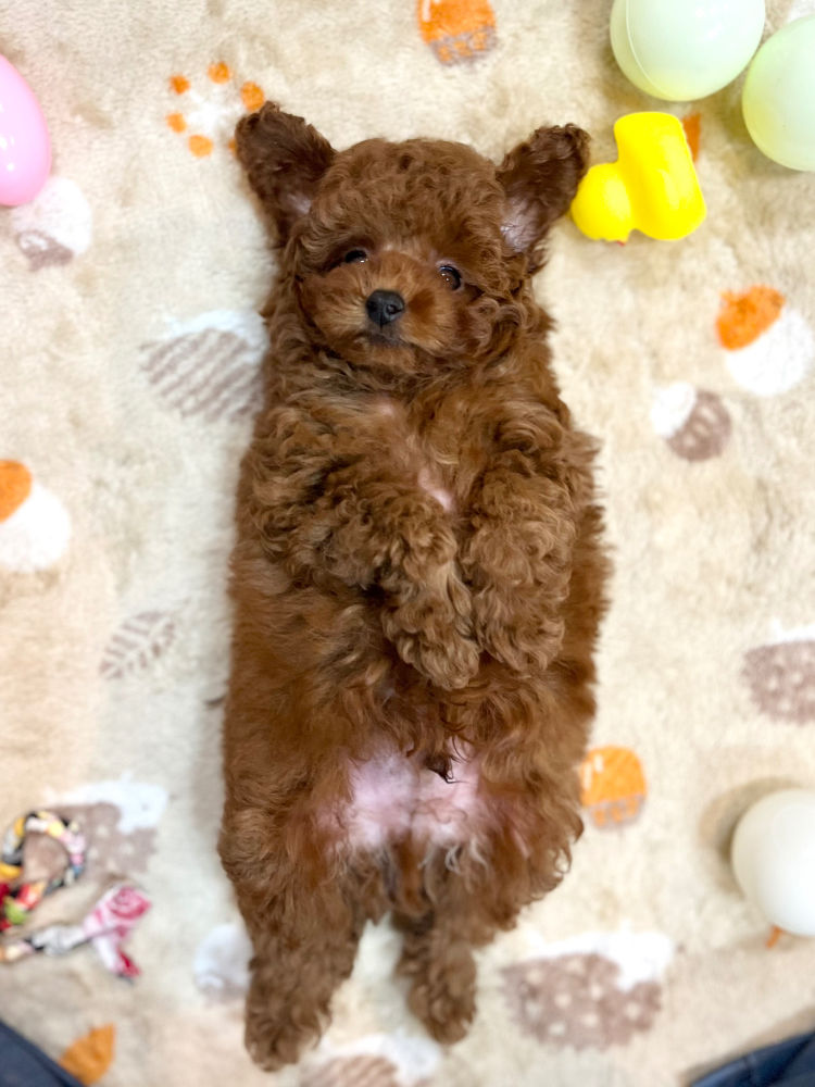 2025.9.12撮影