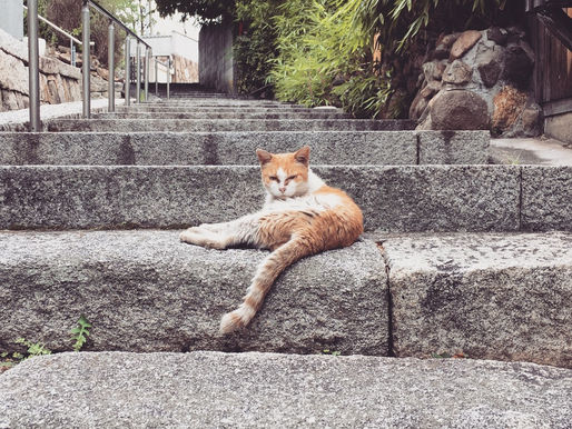 9月 休講のお知らせ